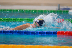 XXVIII Gran Premio Shark
20-21 Dicembre 2025
Piscina Scandone Napoli