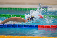 XXVIII Gran Premio Shark
20-21 Dicembre 2025
Piscina Scandone Napoli