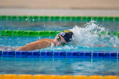 XXVIII Gran Premio Shark
20-21 Dicembre 2025
Piscina Scandone Napoli