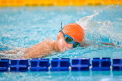 XXVIII Gran Premio Shark
20-21 Dicembre 2025
Piscina Scandone Napoli