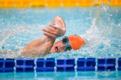 XXVIII Gran Premio Shark
20-21 Dicembre 2025
Piscina Scandone Napoli