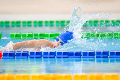 XXVIII Gran Premio Shark
20-21 Dicembre 2025
Piscina Scandone Napoli