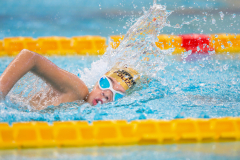 XXVIII Gran Premio Shark
20-21 Dicembre 2025
Piscina Scandone Napoli