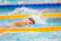 XXVIII Gran Premio Shark
20-21 Dicembre 2025
Piscina Scandone Napoli