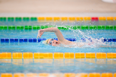 XXVIII Gran Premio Shark
20-21 Dicembre 2025
Piscina Scandone Napoli