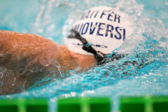 XXVIII Gran Premio Shark
20-21 Dicembre 2025
Piscina Scandone Napoli