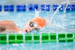 XXVIII Gran Premio Shark
20-21 Dicembre 2025
Piscina Scandone Napoli