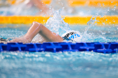 XXVIII Gran Premio Shark
20-21 Dicembre 2025
Piscina Scandone Napoli