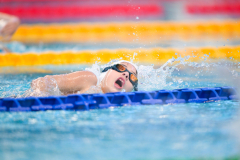 XXVIII Gran Premio Shark
20-21 Dicembre 2025
Piscina Scandone Napoli