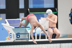 XXVIII Gran Premio Shark
20-21 Dicembre 2025
Piscina Scandone Napoli