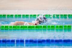 XXVIII Gran Premio Shark
20-21 Dicembre 2025
Piscina Scandone Napoli