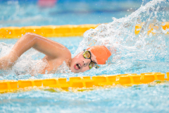 XXVIII Gran Premio Shark
20-21 Dicembre 2025
Piscina Scandone Napoli