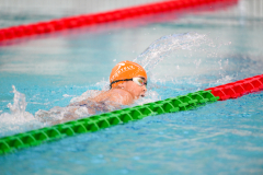 XXVIII Gran Premio Shark
20-21 Dicembre 2025
Piscina Scandone Napoli