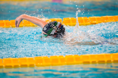 XXVIII Gran Premio Shark
20-21 Dicembre 2025
Piscina Scandone Napoli