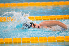 XXVIII Gran Premio Shark
20-21 Dicembre 2025
Piscina Scandone Napoli