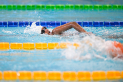 XXVIII Gran Premio Shark
20-21 Dicembre 2025
Piscina Scandone Napoli