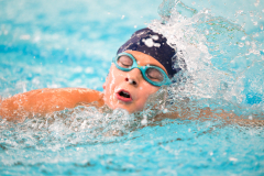 XXVIII Gran Premio Shark
20-21 Dicembre 2025
Piscina Scandone Napoli