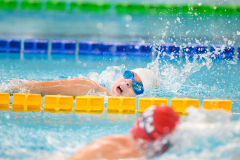 XXVIII Gran Premio Shark
20-21 Dicembre 2025
Piscina Scandone Napoli