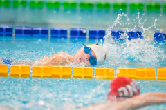 XXVIII Gran Premio Shark
20-21 Dicembre 2025
Piscina Scandone Napoli