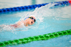 XXVIII Gran Premio Shark
20-21 Dicembre 2025
Piscina Scandone Napoli