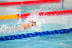 XXVIII Gran Premio Shark
20-21 Dicembre 2025
Piscina Scandone Napoli