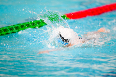 XXVIII Gran Premio Shark
20-21 Dicembre 2025
Piscina Scandone Napoli