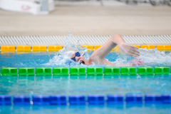 XXVIII Gran Premio Shark
20-21 Dicembre 2025
Piscina Scandone Napoli