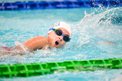 XXVIII Gran Premio Shark
20-21 Dicembre 2025
Piscina Scandone Napoli