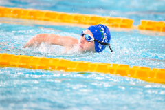 XXVIII Gran Premio Shark
20-21 Dicembre 2025
Piscina Scandone Napoli