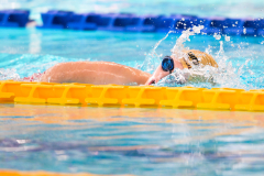 XXVIII Gran Premio Shark
20-21 Dicembre 2025
Piscina Scandone Napoli