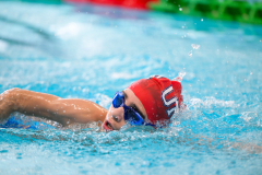 XXVIII Gran Premio Shark
20-21 Dicembre 2025
Piscina Scandone Napoli