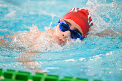 XXVIII Gran Premio Shark
20-21 Dicembre 2025
Piscina Scandone Napoli