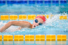 XXVIII Gran Premio Shark20-21 Dicembre 2025Piscina Scandone Napoli