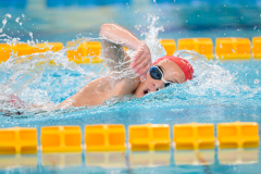 XXVIII Gran Premio Shark20-21 Dicembre 2025Piscina Scandone Napoli