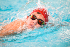 XXVIII Gran Premio Shark20-21 Dicembre 2025Piscina Scandone Napoli