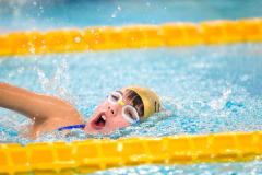 XXVIII Gran Premio Shark20-21 Dicembre 2025Piscina Scandone Napoli