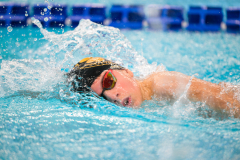 XXVIII Gran Premio Shark20-21 Dicembre 2025Piscina Scandone Napoli