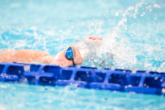 XXVIII Gran Premio Shark20-21 Dicembre 2025Piscina Scandone Napoli