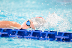 XXVIII Gran Premio Shark20-21 Dicembre 2025Piscina Scandone Napoli