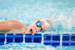 XXVIII Gran Premio Shark
20-21 Dicembre 2025
Piscina Scandone Napoli