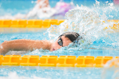 XXVIII Gran Premio Shark
20-21 Dicembre 2025
Piscina Scandone Napoli