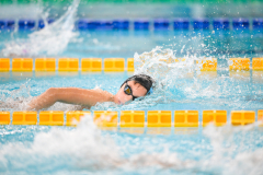 XXVIII Gran Premio Shark
20-21 Dicembre 2025
Piscina Scandone Napoli