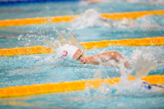 XXVIII Gran Premio Shark
20-21 Dicembre 2025
Piscina Scandone Napoli