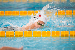 XXVIII Gran Premio Shark
20-21 Dicembre 2025
Piscina Scandone Napoli
