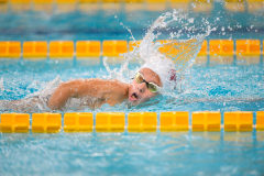 XXVIII Gran Premio Shark
20-21 Dicembre 2025
Piscina Scandone Napoli