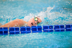 XXVIII Gran Premio Shark
20-21 Dicembre 2025
Piscina Scandone Napoli