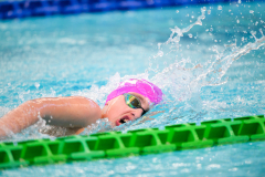 XXVIII Gran Premio Shark
20-21 Dicembre 2025
Piscina Scandone Napoli