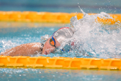 XXVIII Gran Premio Shark20-21 Dicembre 2025Piscina Scandone Napoli