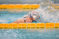 XXVIII Gran Premio Shark20-21 Dicembre 2025Piscina Scandone Napoli