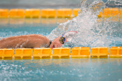 XXVIII Gran Premio Shark20-21 Dicembre 2025Piscina Scandone Napoli